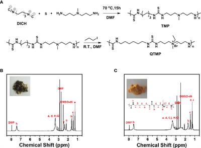 QTMP, a Novel Thiourea Polymer, Causes DNA Damage to Exert Anticancer Activity and Overcome Multidrug Resistance in Colorectal Cancer Cells